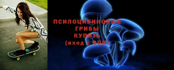 бошки Нефтегорск