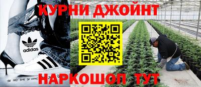 тгк Гатчина
