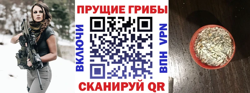 Псилоцибиновые грибы прущие грибы  что такое   Знаменск 