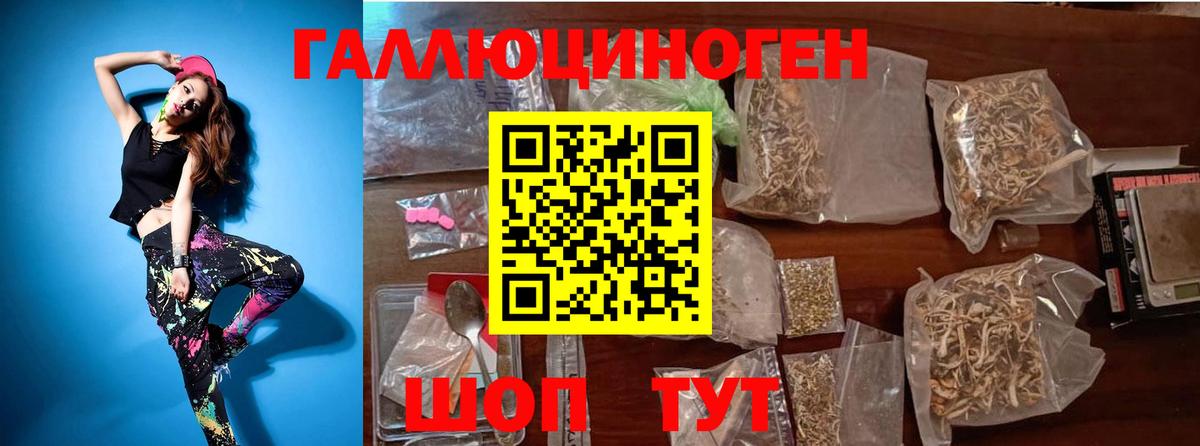 Знаменск  где купить наркоту  Вход с VPN  Галлюциногенные грибы GOLDEN TEACHER 